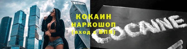 твердый Алексин