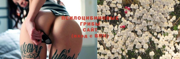 2c-b Алзамай