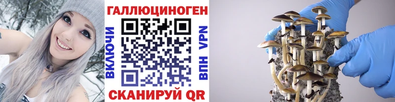 mega ТОР  наркошоп  Полярные Зори  Псилоцибиновые грибы Cubensis 